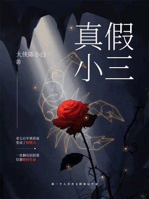 真假小三