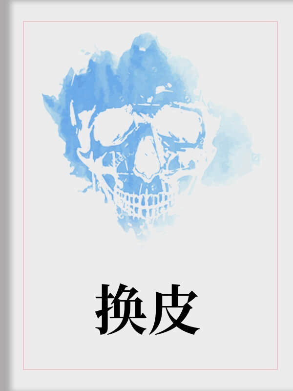 换皮